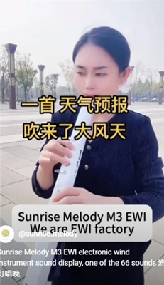 Sunrise Melody recherche actuellement des distributeurs