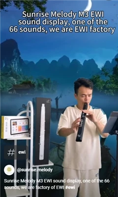 Instrument à vent électrique, vous pouvez facilement l'apprendre même si vous...
