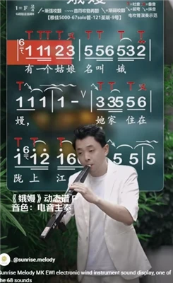 Aerophone Instrument à vent numérique Musique country : une image de la vie p...