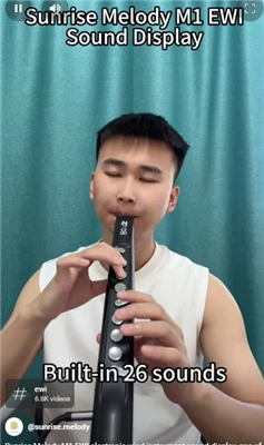Instrument à vent aérophone L'avenir de la musique Une route vers l'innovatio...